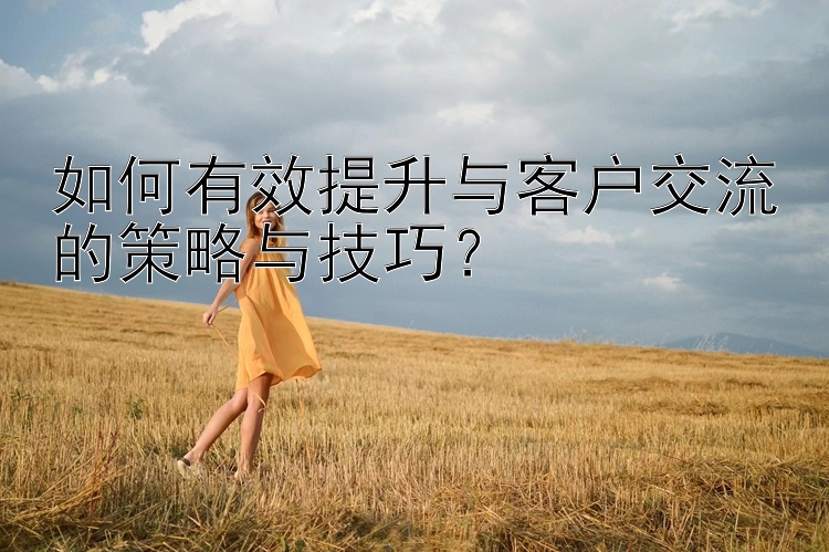 如何有效提升与客户交流的策略与技巧？